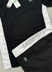 Conjunto Lacoste