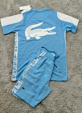 Conjunto Lacoste
